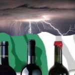 VINO ITALIANO? TUTTO VA BEN... MADAMA LA MARCHESA! ... by Comolli