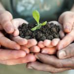 Agricoltura centrale per ambiente