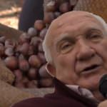 Nocciola Piemonte IGP dell'Alta Langa è in arrivo - Gianfranco Cavallotto - Video