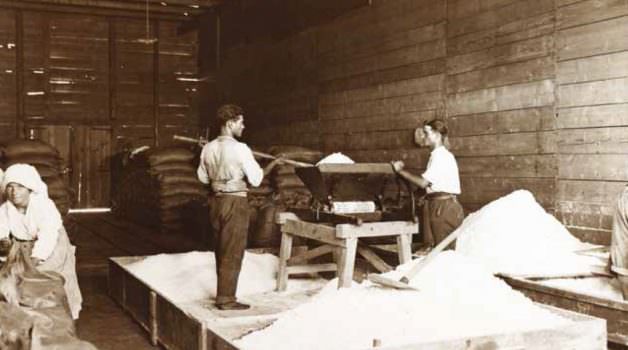 …IL SALE E’ COME UNA MONETA SONANTE