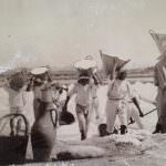 SALE MARINO, RACCOLTA DEL SALE E ATTENTA CURA DELLA PUREZZA