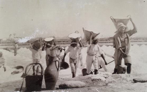 SALE MARINO, RACCOLTA DEL SALE E ATTENTA CURA DELLA PUREZZA