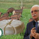 Buona e sana: è la Robiola di Roccaverano D.O.P. con latte crudo