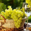 I MIEI VINI BIANCHI ITALIANI PREFERITI NEL 2018