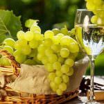 I MIEI VINI BIANCHI ITALIANI PREFERITI NEL 2018