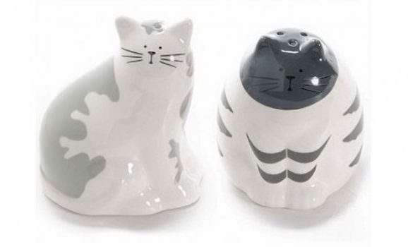 SALE IN CUCINA COME SCEGLIERE IL MIGLIORE