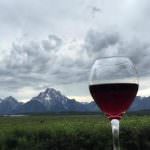 VINOITALIA: CRESCE IL FATTURATO DELLE AZIENDE, IL VALORE RELATIVO E IL GIRO D’AFFARI AL CONSUMO…