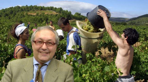 INVECE DELLA PAC… COMOLLI LANCIA LA PAE PER TUTELARE GLI AGRICOLTORI