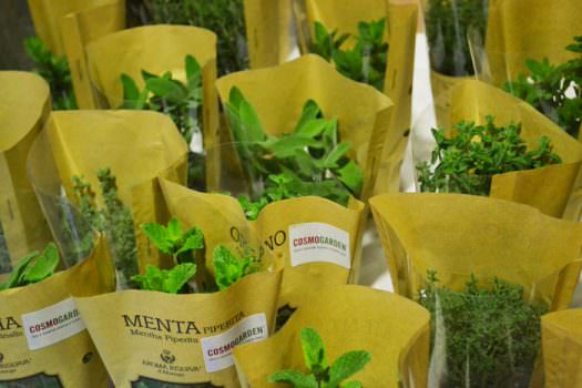 LE MERAVIGLIE DEL MONDO GREEN CON COSMOGARDEN