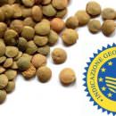 Filiera dei prodotti della Murgia: grano duro e lenticchia di Altamura