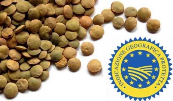 Filiera dei prodotti della Murgia: grano duro e  lenticchia di Altamura