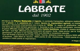 Labbate, 120 anni di olio extra vergine del Salento… Primitivo, Negroamaro