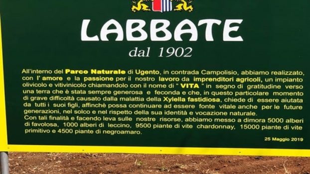 Labbate, 120 anni di olio extra vergine del Salento… Primitivo, Negroamaro