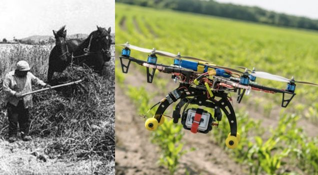 ANDAMENTO ECONOMIA AGRICOLA ITALIANA DEL 2018 – DATI ISTAT