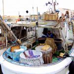 Il Distretto della Pesca siciliano promuove a Palermo l’Economia Blu nel Mediterraneo