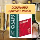 DIZIONARIO PER GLI SPUMANTI ITALIANI… IN LINGUA ITALIANA e glossario dei vini
