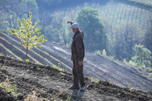 GRAVNER: BIANCO BREG 2011, SOLO 3000 BOTTIGLIE