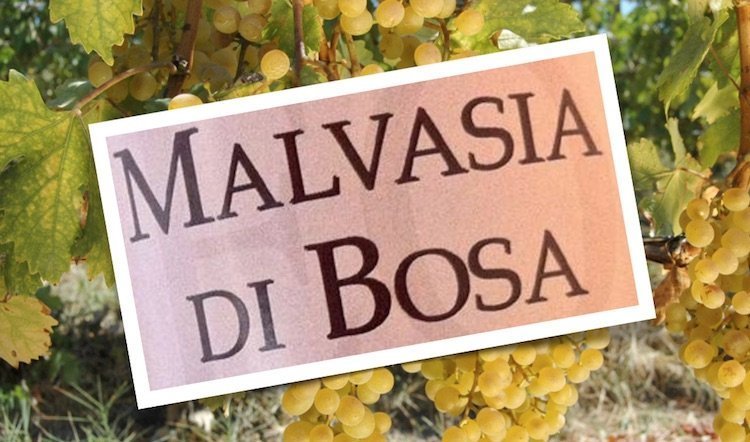Malvasia di Bosa DOC: vino secco, abboccato, amabile, dolce