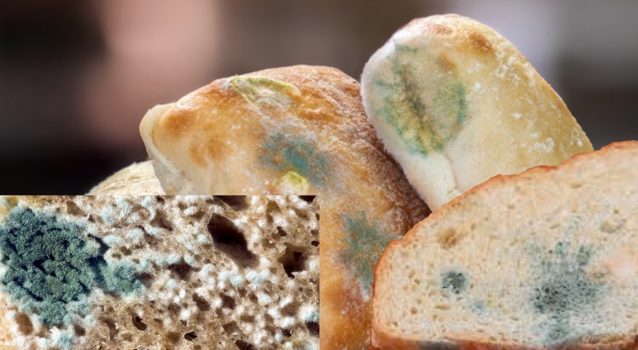 Etanolo come antimuffa negli alimenti… è vietato o no?