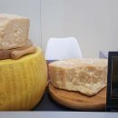 Consorzio Parmigiano Reggiano, precisazioni sull’interessamento di Lactalis per il  “re dei formaggi”