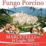 Il 14 luglio il fungo porcino è il grande protagonista a Marcetelli
