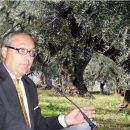 Evo, Extra Vergine di Oliva: la saggezza millenaria dell’ulivo