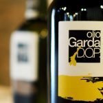 SLOW FOOD: LA GUIDA AGLI EXTRAVERGINE D’OLIVA 2019