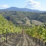 Assaggio dei Vini della Val d'Orcia by Giampietro Comolli