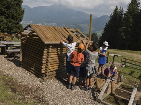 VIVERE IN MONTAGNA E PRODURRE COME NUOVO AGRICOLTORE… ma bisogna alzare il tiro da una nuova PAC-Europa