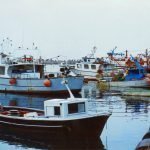 Proteste internazionali e del Distretto della pesca di Mazara del Vallo per l'accordo tra Federpesca e l’autorità della Cirenaica