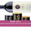 Bolgheri Sassicaia DOC 2016 Tenuta San Guido, 1° al BIWA 2019