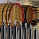 BREXIT, EXPORT, CLIMA… VINO ITALIANO ED EUROPEO – I VERI PROBLEMI –