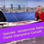 VENDEMMIA ITALIA 2019, CALO DEL 16-20% DI UVA - Comolli a RAI 3