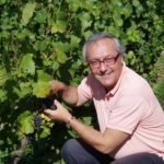 Giampietro Comolli: EXPO2015, Gusturismo fluviale fuori salone nel bacino del PO