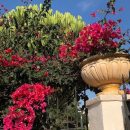 Casa Vacanza in Sicilia a Mazara del Vallo da Patrizia e Salvatore