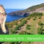 Pantelleria, Passitaly 2019 - Il vero Zibibbo è solo qui... dove si vendemmia in ginocchio