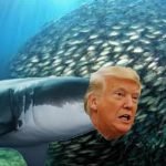 Dazi USA - Trump e la moderna guerra all'Europa - Comunicato Coldiretti e intervista a Ettore Prandini