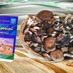 Poggiorsini, una scommessa da vincere per un turismo ecosostenibile