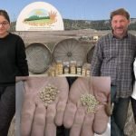 La Valle nel Parco, legumi e cereali dell'Alta Murgia della Famiglia Cifarelli (Video)