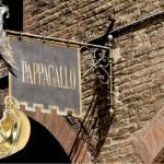 Tortellini al mignolo del Ristorante Pappagallo di Bologna