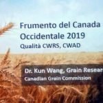 Altamura: seminario AMC su raccolto grano canadese del 2019