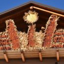 BALCONI FIORITI DI PANNOCCHIE A STORO, CAPITALE DELLA POLENTA