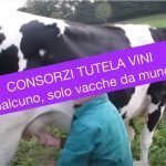 CONSORZI DI TUTELA DEI VINI: URGE UN CAMBIO RADICALE
