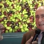 Stefano Caroli: i Frantoiani Artigiani custodi naturali degli uliveti