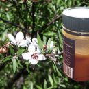 Manuka honey: Miraculous superfood but only if it is UMF certified (English and Italian text)