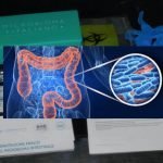 Come conoscere e analizzare il Microbioma, il nostro patrimonio genetico