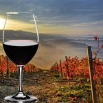 COSA FARE REALMENTE PER IL VINO ITALIANO - COSA VOGLIONO GLI IMPRENDITORI