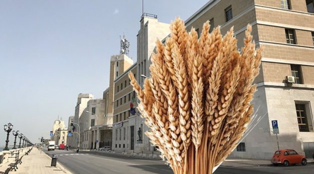IL DISTRETTO DEL GRANO DURO APPROVATO DALLA REGIONE PUGLIA PRIMO IN EUROPA