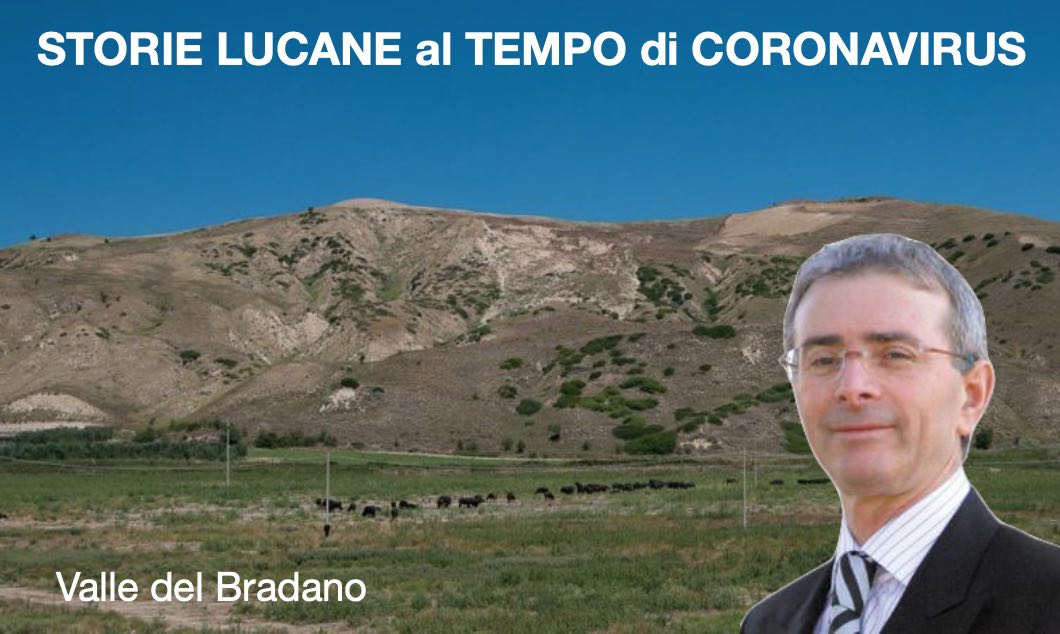 Basilicata: aziende agrozootecniche a Bernalda, Metaponto, Irsina, Calciano… e coronavirus
