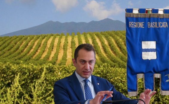 Assoenologi per Francesco Fanelli Assessore Politiche Agricole e Forestali, Regione Basilicata